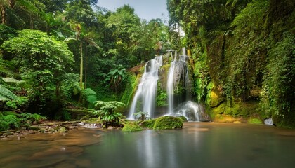 A photostock of a serene waterfall surrounded by lush greenery in a rainforest, outdoor