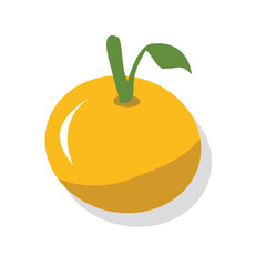 Orange fruit illustration. Tangerine. Citrus. Whole fruit. Piece fruit. Sour fruits. Sweet fruits. Citrous.