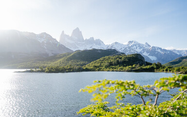 Majestic Fitz Roy mountain peak in Patagonia, Argentina, with snow summits and a vivid blue sky. A serene foreground of grassy tundra, a small stream, and low trees complements the dramatic rock 