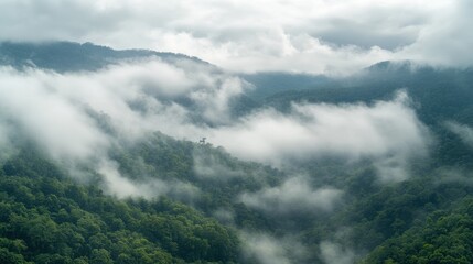 The sea of clouds in mountainous areas