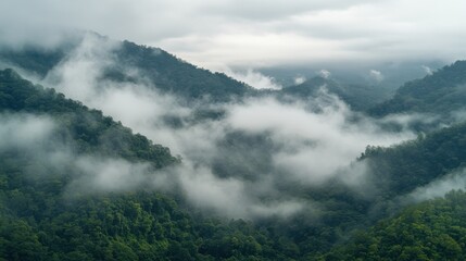 Fototapeta premium The sea of clouds in mountainous areas