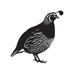 illustration of a bird