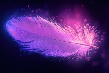 Obraz premium A single, glowing purple feather floats in a dark space, illuminated by magical bokeh.