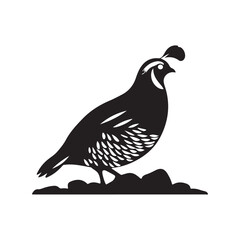 dove of peace
