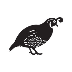 illustration of a dove