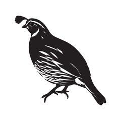 illustration of a bird