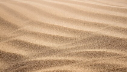 Obraz premium 薄いベージュの砂の平面