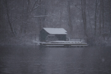 house in the fogf
