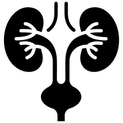 Urology Icon