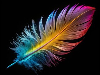 Feather Close-Up: Black Background Macro Photography, Detailed Texture, Soft Light