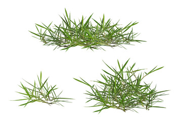 The green grass has roots exposed to the open air.