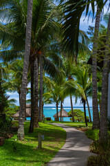 Vacation concept - Path near the cozy cottage. Turquoise Indian ocean and beach in a background. Vacation in a luxury island. Selective focus, blurred background. Belle Mare, Mauritius.