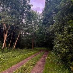 footpath in the countryside 