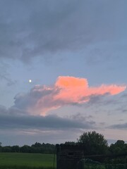 sunset in the garden 