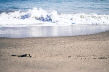 波打ち際と砂浜