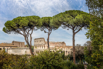 Signature view of Rome - Cypress trees and the famous Colosseum, Rome Italy