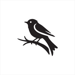 bird on a branch