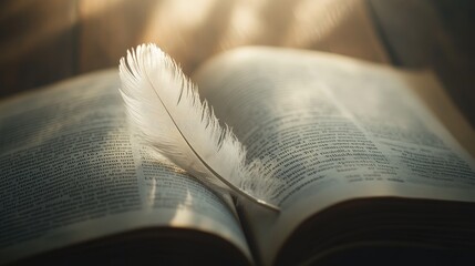 Fototapeta premium A single white feather rests on an open book