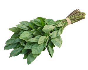 Fresh basil leaves arranged in bundle, showcasing vibrant green color and healthy appearance. Perfect for culinary use or garnishing dishes