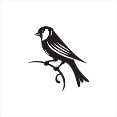 bird on a branch