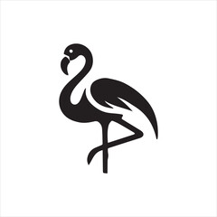 black and white bird