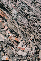 The background is a multitude of stratified sharp stones. A cliff of fragile stone.