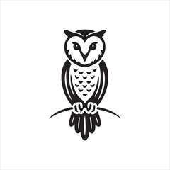 owl on branch