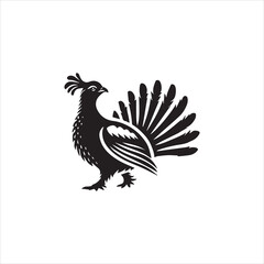 rooster isolated on white background