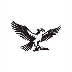 eagle with wings vector