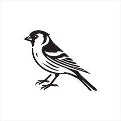 illustration of a bird