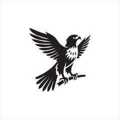 eagle vector illustration