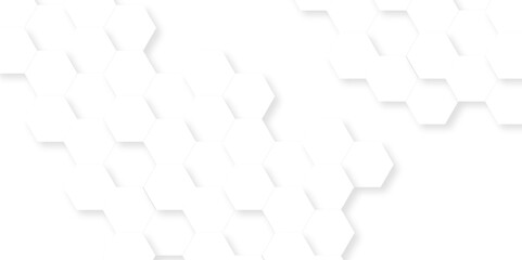 Abstract background with hexagon, modern abstract vector polygonal pattern. Futuristic abstract honeycomb technology white background. Luxury white hexagon pattern.