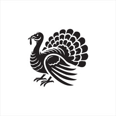 peacock feather vector