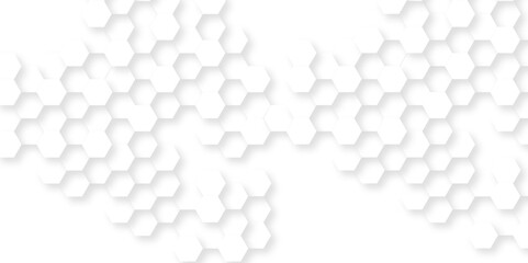 Abstract background with hexagon, modern abstract vector polygonal pattern. Futuristic abstract honeycomb technology white background. Luxury white hexagon pattern.