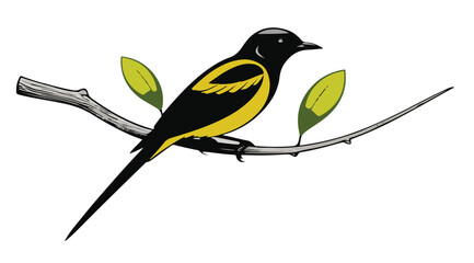 A bird sitting on a branch on a white background. Vector illustration of a bird