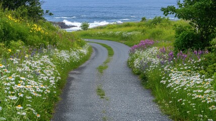 Scenic Coastal Road Surrounded by Lush Wildflowers and Ocean View