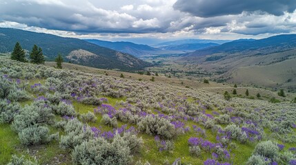 Scenic Landscape of Rolling Hills with Purple Wildflowers and Clouds