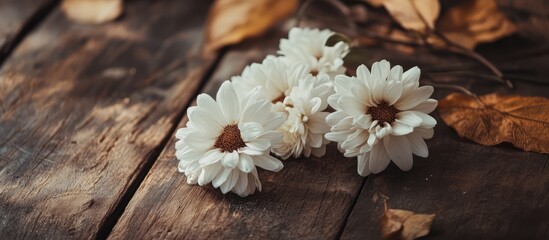 Fototapeta premium Fresh White Flowers with Brown Leaves on Rustic Wooden Table Surface