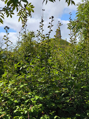British landscape