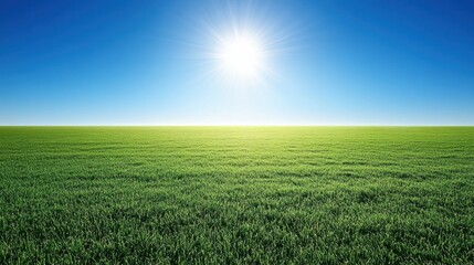 Obraz premium Lush Green Field Under Bright Sunlight and Clear Blue Sky