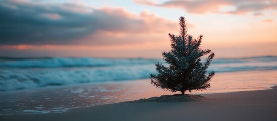 Obraz premium Christmas tree on sandy beach at sunset with ocean waves in the background creating a unique holiday atmosphere by the sea