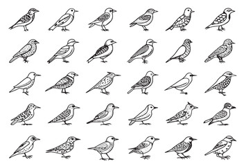 Starling Icon in the Night Sky
