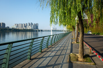 a public recreational walking trail and lush willow trees at the riverbank of Liujiang River in Liuzhou, China.High-rise Apartment buildings in the distance.