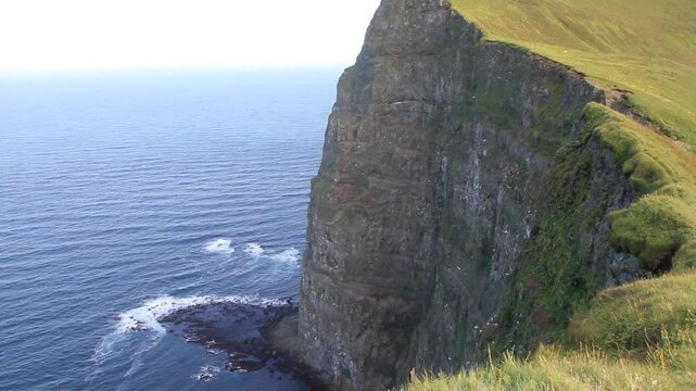 Seev&ouml;gel an den Klippen von Hornstrandir, Island