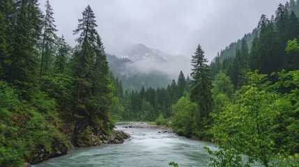 Obraz premium Serene river flowing through lush green forest on a cloudy summer day with misty mountains in the background