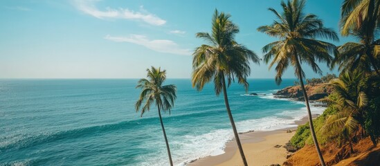 coconut palm trees swaying in the breeze along a serene coastline with turquoise waters and soft sandy beach under a clear blue sky