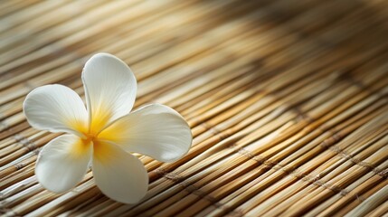 Naklejka premium Delicate cream and white flower resting on a natural bamboo mat in soft light showcasing serenity and nature's beauty