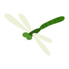 Picturesque natural pond inhabitant. Green dragonfly. Concept of outdoor scene. Vector cartoon illustration