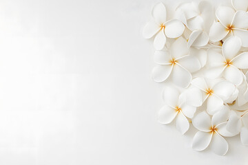 Obraz premium White Frangipani flowers frame top view isolated on white background
