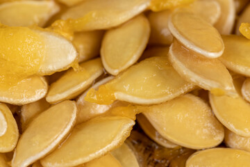 wet fresh seeds of ripe orange pumpkin